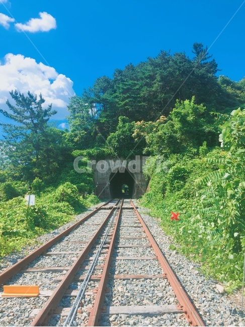 여름,푸르름,기찻길,레일바이크,터널,나무,레일,풍경,녹색풍경,힐링,휴식