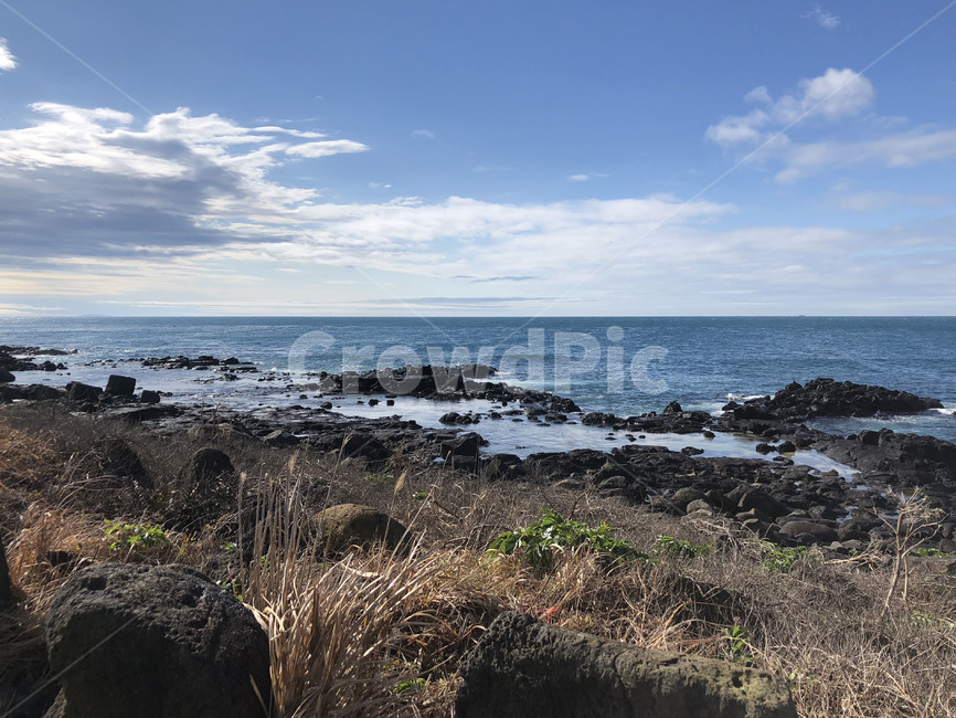 제주도바다,제주도해안가,제주도,서귀포,서귀포바다,자연,풍경,nature,landscape,제주도,jeju,jeju island,ground,바닥,promontory,곶