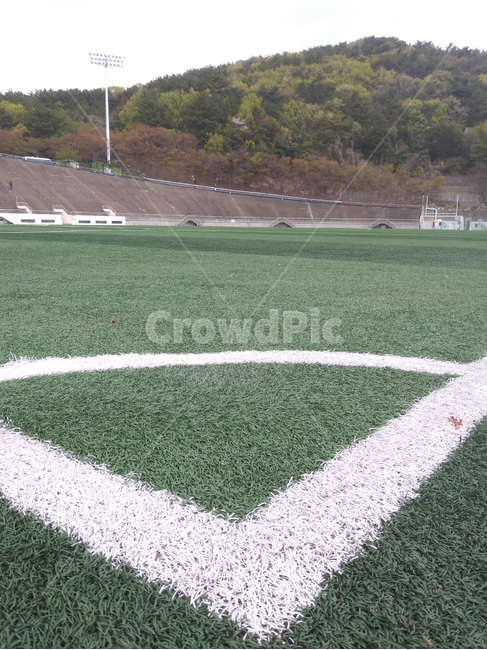 잔디,운동장,라인,초록,흰색,경기장,grass