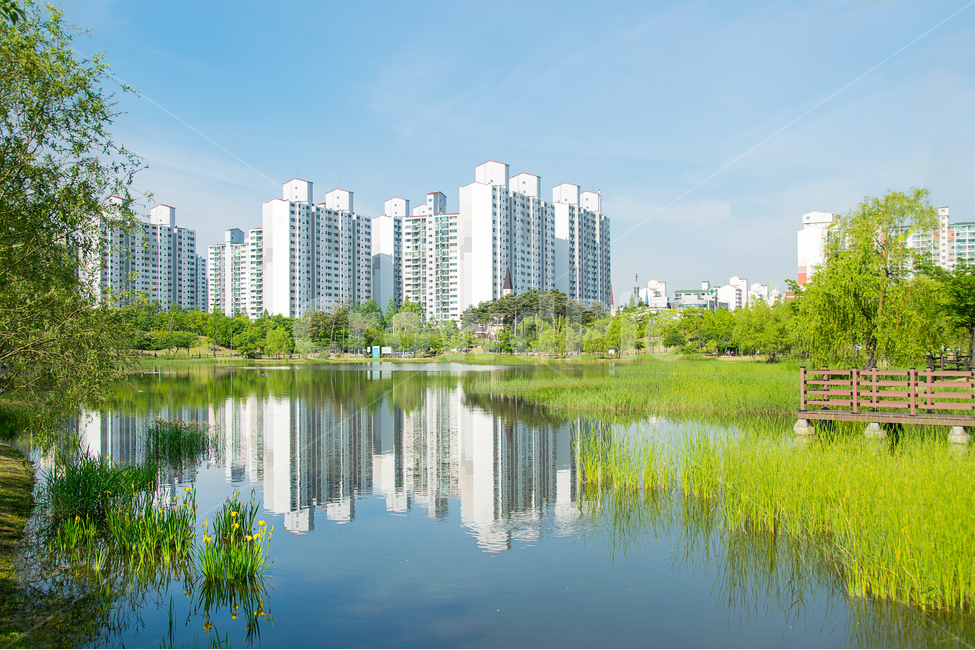 봄,꽃,봄꽃,나들이,봄나들이,색,색상,색감,여유,감성,감정,spring,color,풍경,landscape,식물,자연,natural,수선화,노랑,노란꽃,yellow,연못,호수,공원,반영,경치,마천루,아파트,건물,주거지,녹색,도시,풍경,city,landscape,한국도시풍경,한국도시경관,korea cityscape,town,urban,어반,high rise,고층 건물,building,시티