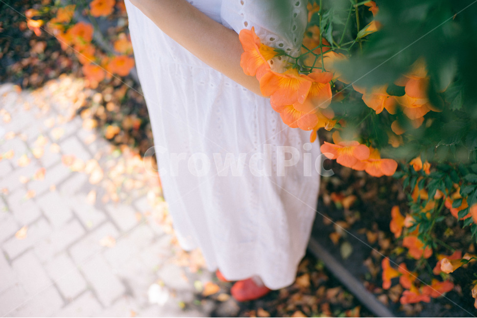 여름꽃,능소화,주황색,감성사진,꽃,식물,자연,plants,nature,꽃,flower,사람,인물,인간,human,person,여성,여자,woman,female,lady,패션스타일,의상,fashion,style,감성,sensible,feeling