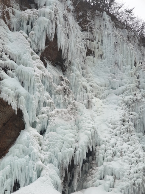 얼음,폭포,자연,물,고드름,겨울,계절,winter,season