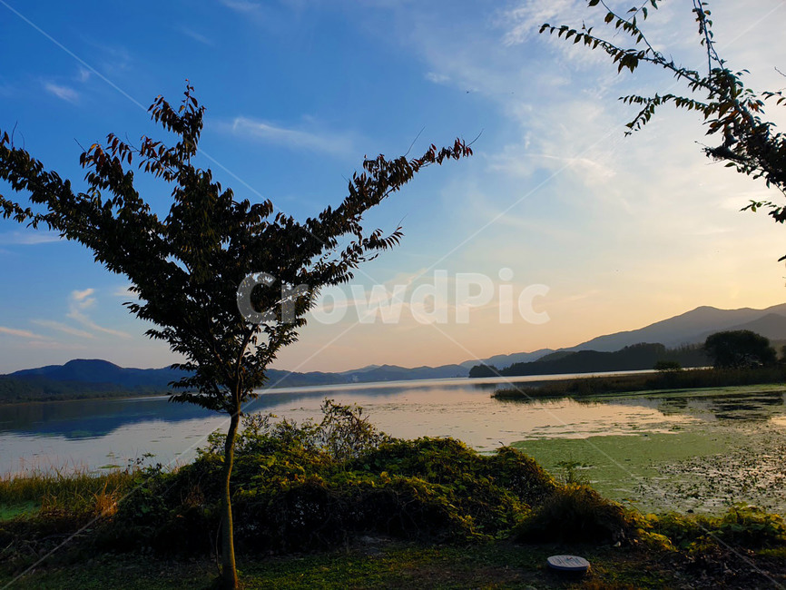 자연,호수,땅,나무,노을,풍경,옥외,nature,land,두물머리,lake,sunset,fall,가을,tree,자연,풍경,nature,landscape