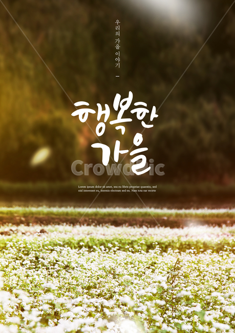 메밀,메밀꽃,가을,감성,캘리,캘리그라피,손글씨,붓글씨,표지,브로슈어,전단지,카달로그,가을,계절,fall,autumn,season,식물,자연,plants,nature,꽃,flower,감성,sensible,feeling,캘리그라피,손글씨,calligraphy