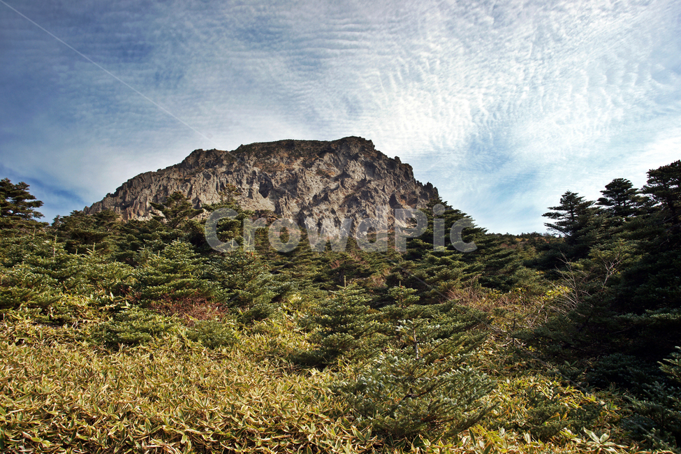 한라산,한라산국립공원,제주도,암벽,돈내코코스,활엽수림,난대성식물
