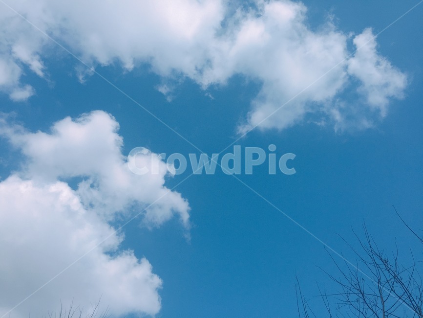 구름,하늘,풍경,감성,오전,자연,풍경,nature,landscape,azure sky,푸른 하늘,sky,outdoors,옥외