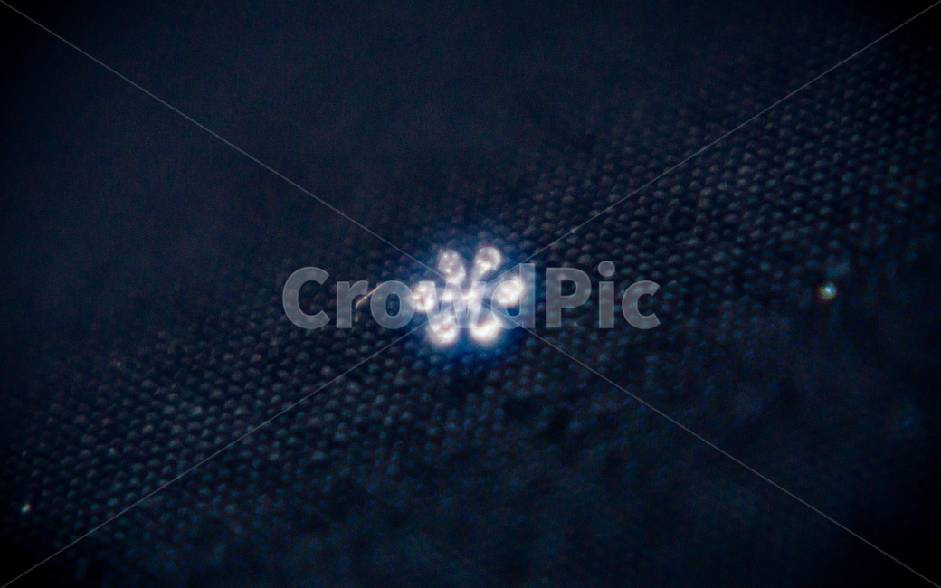눈,눈꽃,접사,확대,은빛,은,겨울,계절,winter,season