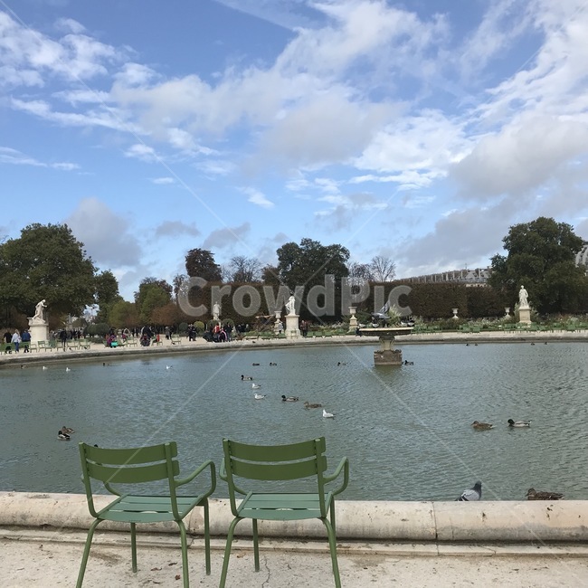 파리,튈트리정원,파리튈르리,비둘기,paris,jardindestuileries,paristuileries