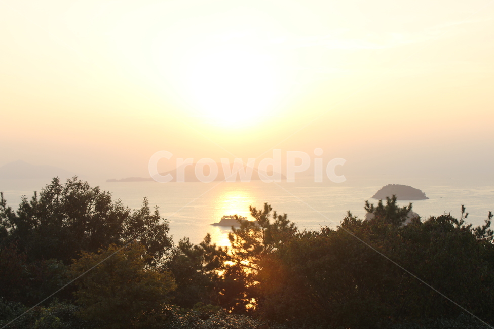 바다,노을,flare,outdoors,플레어,light,sunlight,빛,nature,햇빛,자연,나무,태양,자연,풍경,nature,landscape,옥외