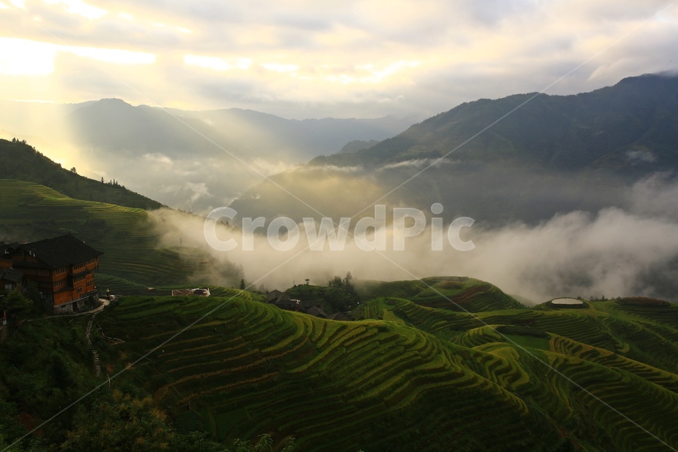 nature,자연,outdoors,옥외,countryside,field,들,hill,언덕,중국,계림,용척,용척다랭이논,다랭이논,다락논,농업,농경지,경작,농사,중국비경,경치,경관,풍경,운해,용척제전아침