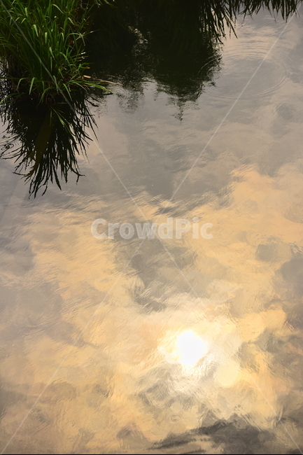 호숫가,노을,석양,반영,투명,햇빛,빛,라이트,수초,물,sunset,lakeside,반사,비치다,배경,바탕,백그라운드,background