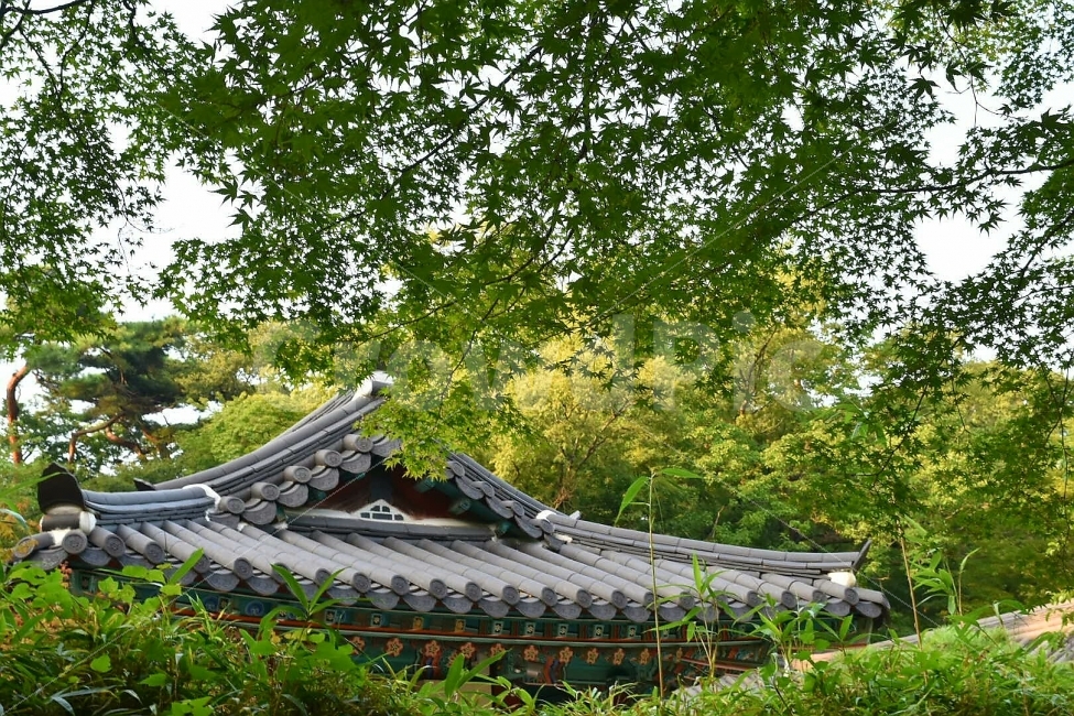경주,불국사,기와,나무,절,전통,전통적인,한국적인,처마,기와집,한국전통,한국문화,korean traditional,korean culture,건축물,건물외관,exterior,building,structure,architecture,construction