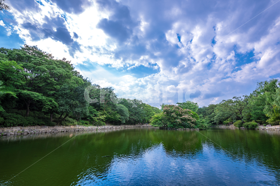 창경궁,궁전,전통,조선시대,건물,호수,춘당지,자연,풍경,nature,landscape