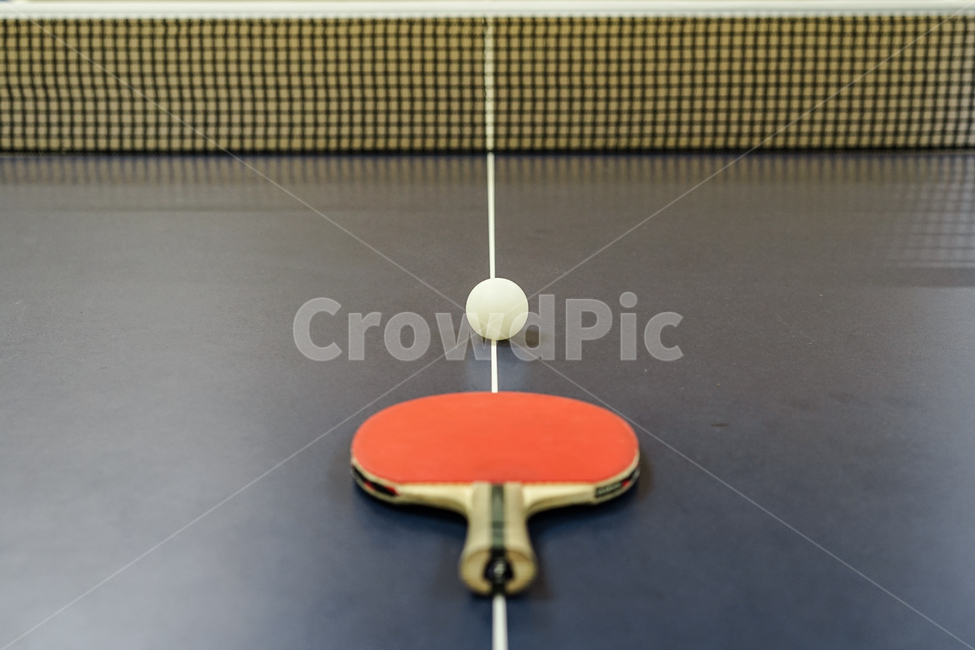 탁구,구기종목,스포츠,탁구대,tabletennis,탁구라켓,스포츠,레저,운동,sports,leisure,exercise,사물,물건,오브젝트,thing,object,matter