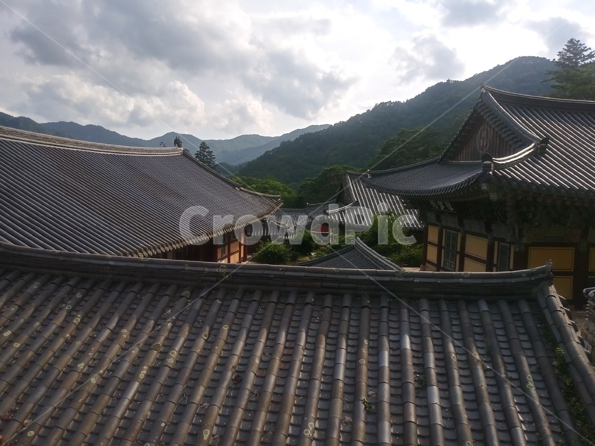 나무,하늘,풍경,구름,사원,파랑,환경,야외,집,한국,자연,초록,한국집,건축,공원,구름낀하늘,파란하늘,한국기와,봄,여름,가을,겨울,전통,house,tree,sky,landscape,scenery,temple,culture,blue,environment,outdoor,home,korea,asia,nature,green,famous,koreanhouse,architecture,park,cloudysky,bluesky,koreanflag,tradition,roof,지붕