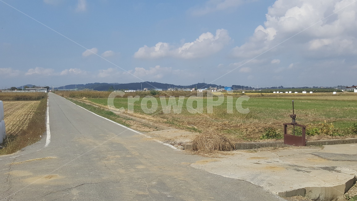 road,도로,tarmac,논,타맥,asphalt,아스팔트,자연,풍경,nature,landscape