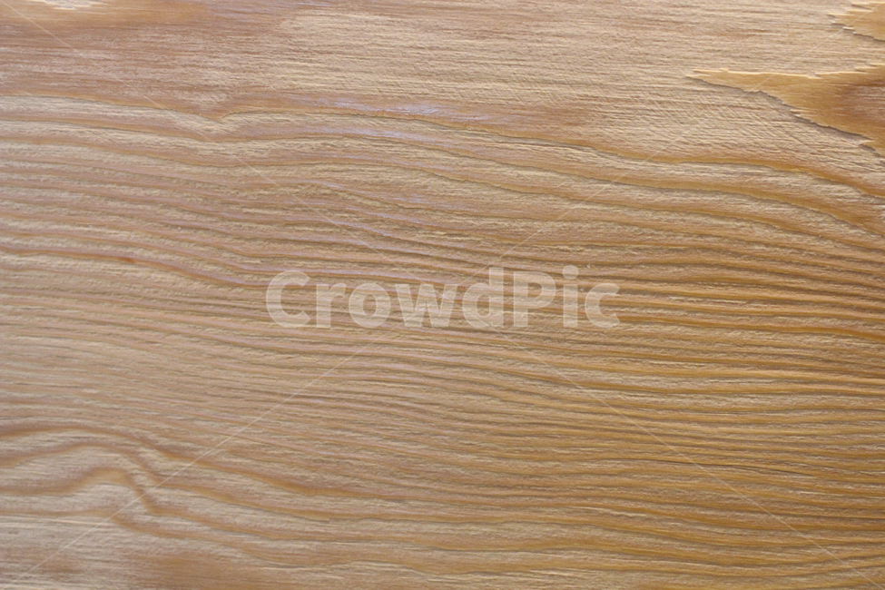 나무,나무무늬,나무결,나무무늬바탕,바탕용,나무,trees,wood,텍스처,질감,패턴,texture,pattern