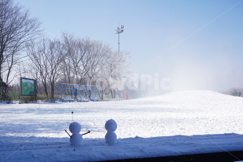 눈,snow,겨울,winter,눈사람,snowman,눈꽃,snowflake,옥외,자연,비발디파크,겨울,계절,winter,season,자연,풍경,nature,landscape