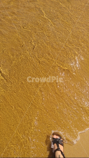 바다,바닷가,바닷물,발자국,해수욕장,water,해변,바다,beach,sea,신체일부,몸,body