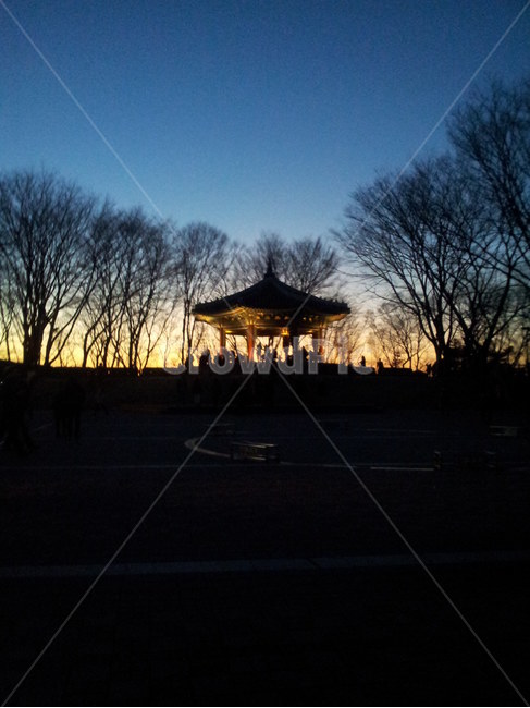 한국,서울,야경,남산,노을,조명,배경,출사,밤