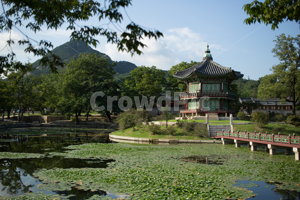 경복궁,향원정,서울,구름,하늘,숲,자연,고궁,한국,한국전통,한국문화,korean traditional,korean culture,건축물,건물외관,exterior,building,structure,architecture,construction