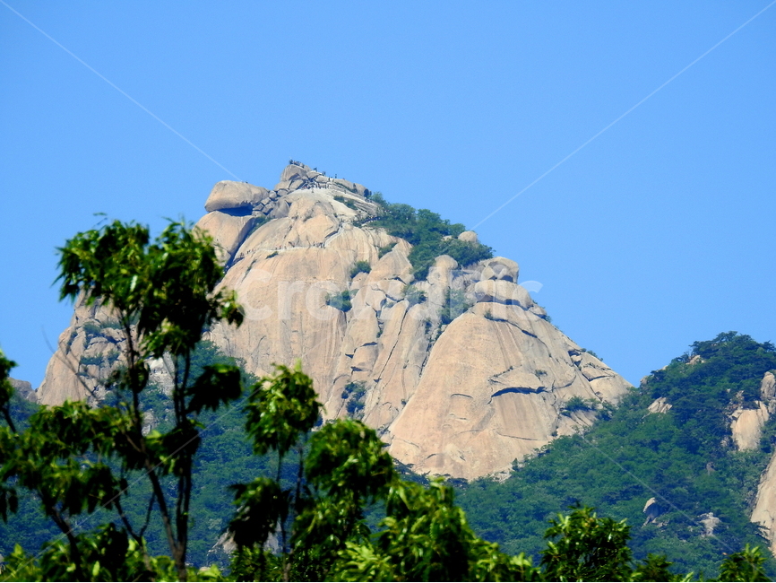 나무,식물,산,국립공원,자연풍경,자연,풍경,nature,landscape,한국자연풍경,한국자연경관,korea nature landscape,outdoors,옥외,cliff,낭떠러지