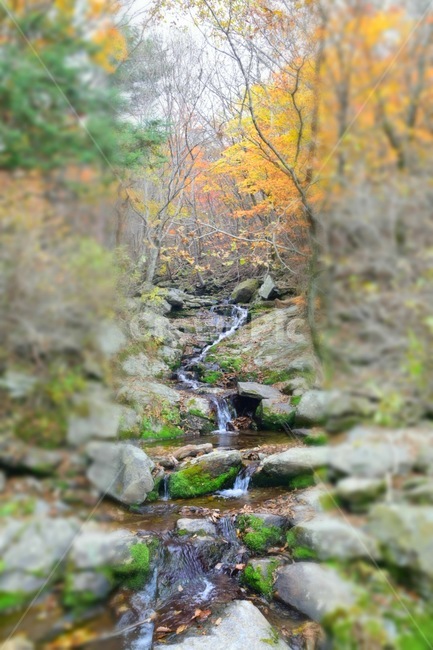 지리산,노고단,자연,물,흐름,가을,계절,fall,autumn,season,자연,풍경,nature,landscape,water,stream,outdoors,옥외,creek,작은 만