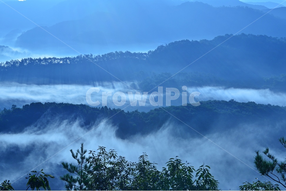 임실국사봉,국사봉운해,국사봉아침,nature,자연,tree,나무,plant,식물,mountainrange,산맥,mountain,산,outdoors,옥외,한국자연풍경,한국자연경관,korea nature landscape