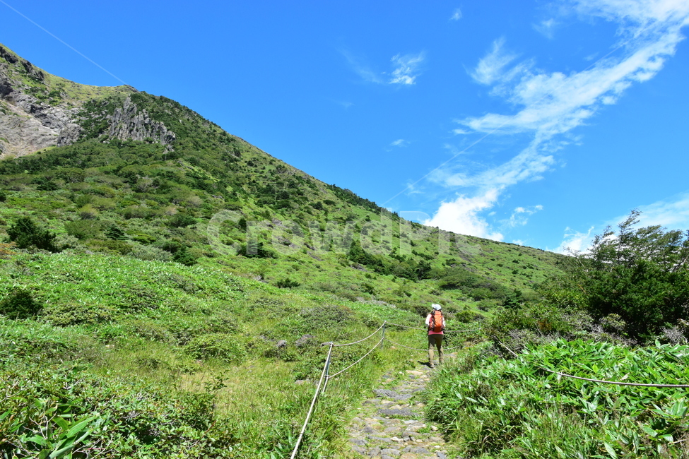 영실,한라산,제주,절경,자연,풍경,힐링,여름,계절,탐방,등산,남벽,윗세오름,season,nature,landscape,한국자연풍경,한국자연경관,korea,naturelandscape,제주도,jeju,jejuisland,human,인간,사람,person,자연,풍경,nature,landscape,한국자연풍경,한국자연경관,korea nature landscape,제주도,jeju,jeju island,outdoors,옥외,hill,언덕