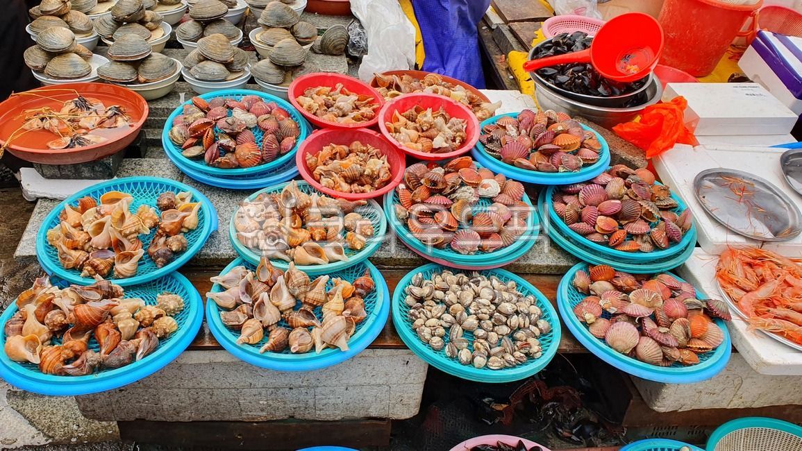 수산시장,시장,한국시장,해산물,물고기,fish,fishmarket,마트,market,마켓,mart,marketplace,음식,식재료,요리,food,cook,meal,dishes,foodreserves,수산물,fisheryproducts,seafood