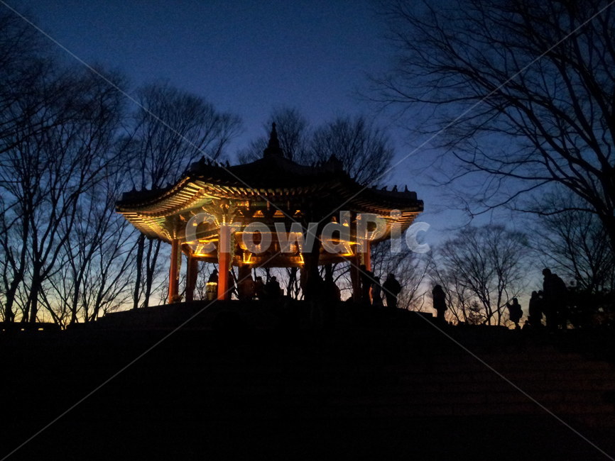 한국,서울,야경,남산,조명,배경,출사,밤