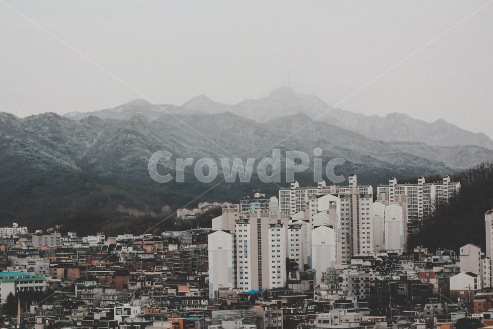 관악산,서울,mountain,seoul,건물,아파트,주거단지,눈내린관악산
