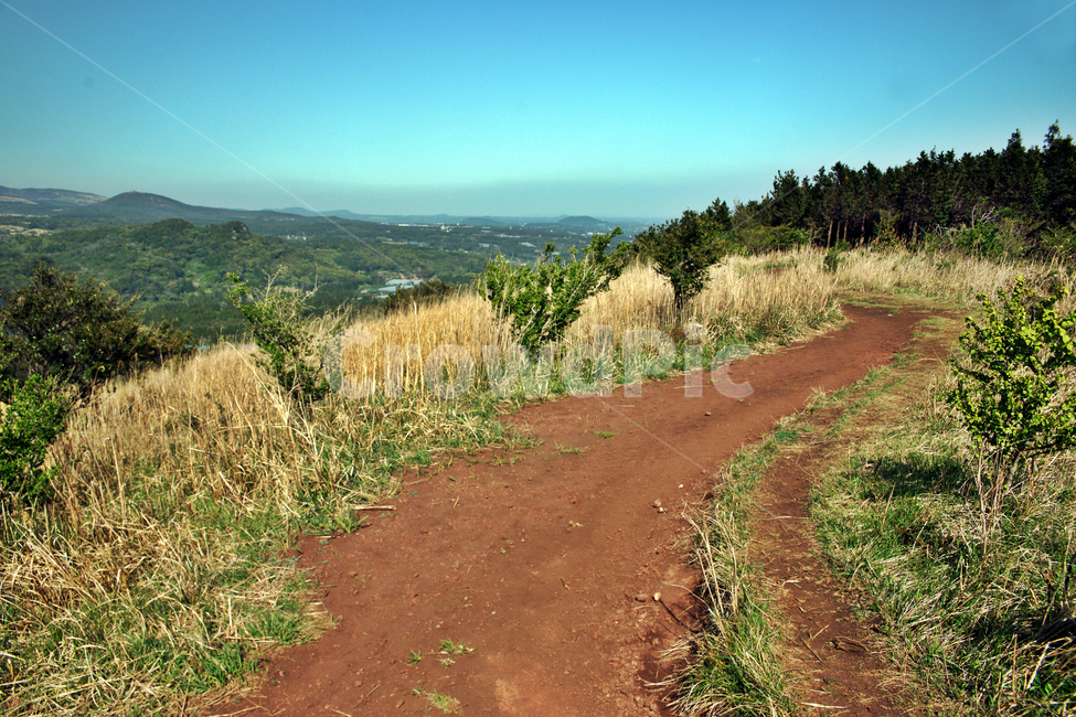 제주,서귀포,올레71코스,올레길,중산간,고근산,산책로,자연,풍경,nature,landscape,gravel,자갈,road,도로,dirt road,흙길,ground,바닥