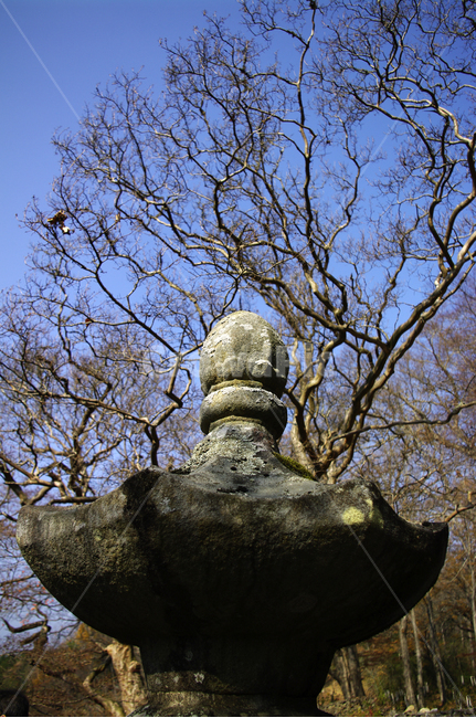 석탑,하늘,나무,겨울,전통,한국전통,한국문화,korean traditional,korean culture,조각상,동상,석상,조형물,statue,bronze statue,stone statue