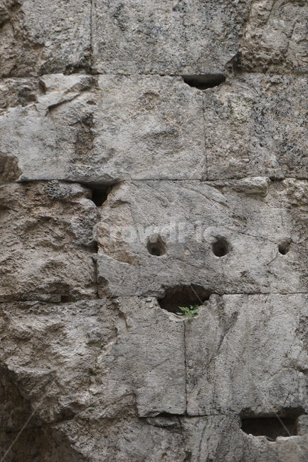 rock,smile,돌벽,벽돌,생명력,얼굴벽돌,얼굴벽,표정