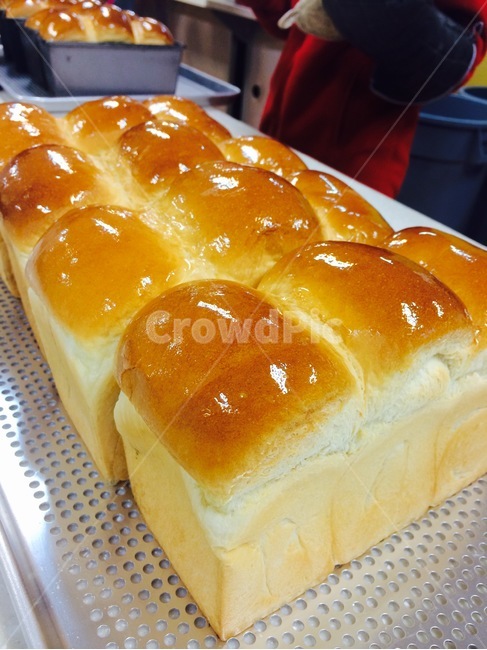 빵,식빵,통식빵,우유식빵,bread,공판,타공판,식힘망