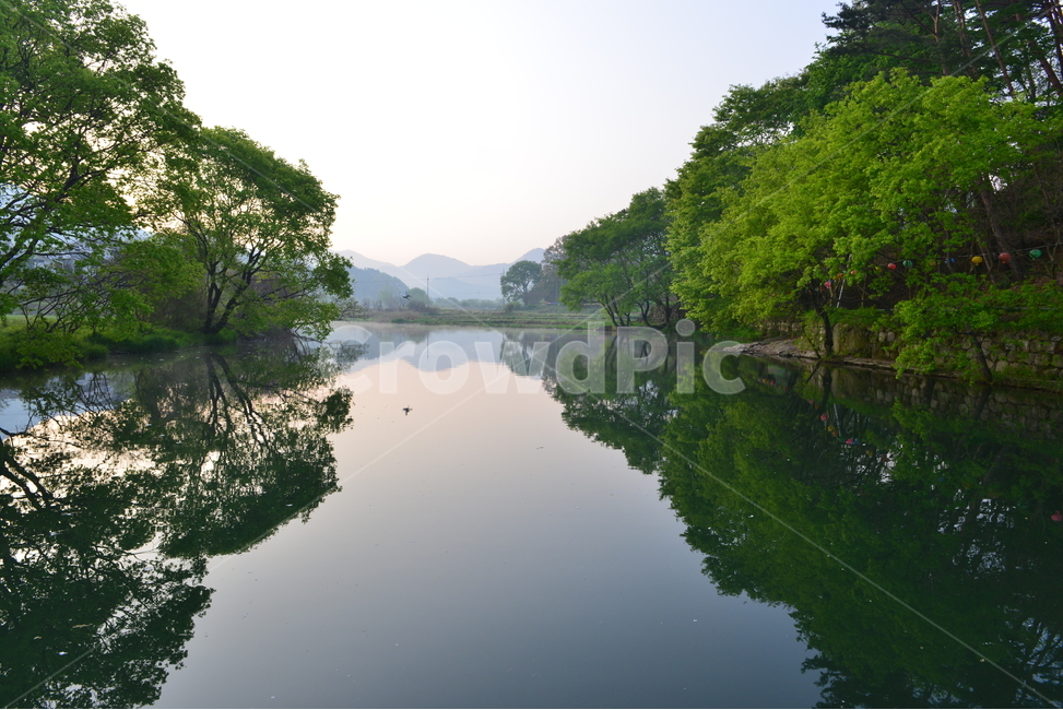 광주,북구,충효동,광주호,광주호상류,광주호호수생태공원,호수생태공원,공원,생태공원,연두색,nature,자연,water,물,outdoors,옥외,lake,호수