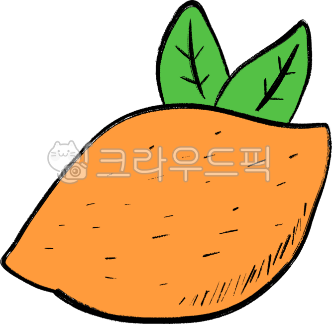 Tangerine,orange,fruit,fruit drawing,fruit illustration,orange,orangedessin,fruit