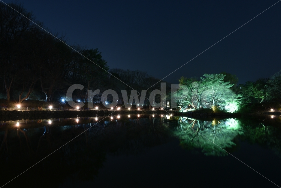 Nikon,D750,서울,창경궁,야간개장,야경,반영,야경,밤,풍경,nightscape,night,landscape,랜드마크,landmark,tourist attraction,nature,자연,outdoors,옥외