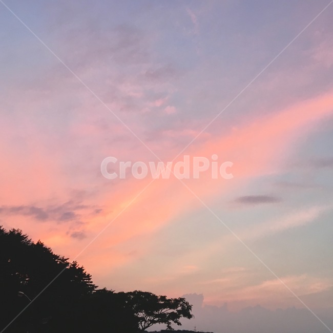 노을,핑크,하늘,핑크색하늘,풍경,분홍,자연,숲,자연,풍경,nature,landscape,outdoors,옥외,sky,sunset,일몰,dusk,황혼,dawn,새벽,red sky,붉은 하늘