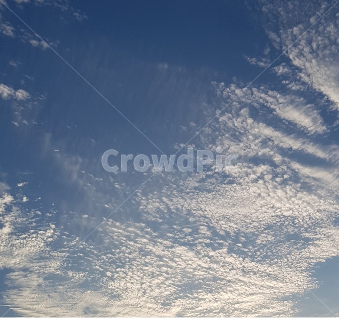 저녁하늘,하늘,저녁,구름,자연,nature,sky,nightsky,자연,풍경,nature,landscape,outdoors,옥외