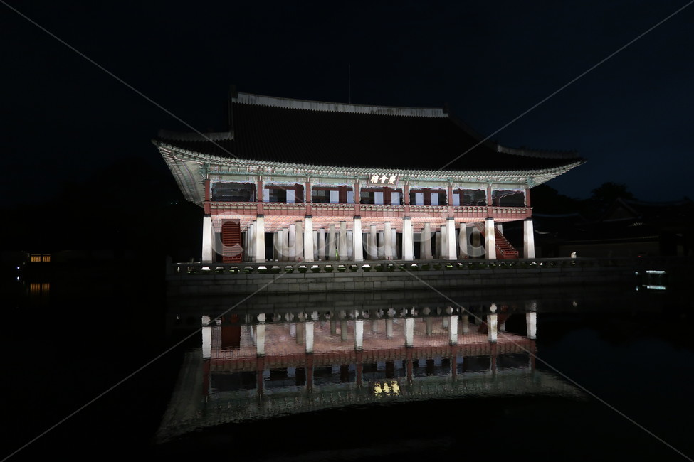 경복궁,한국,전통,동양풍,건물,자연,컬러,gyeongbokgungpalace,korea,traditional,orientalstyle,buildings,nature,tree,plant,stone,color,조선시대,궁궐,야경,밤,풍경,nightscape,night,landscape,한국전통,한국문화,korean traditional,korean culture,랜드마크,landmark,tourist attraction,한국랜드마크,한국관광지,한국명소,korea landmark,korea tourist attraction