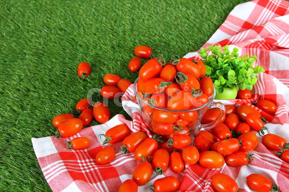 토마토,대추방울토마토,과일,야채,식품,신선,음식,빨간,tomato,jujubetomatoes,fruits,vegetables,fresh,food,red,음식,식재료,요리,food,cook,meal,dishes,food reserves,과일,열매,fruit,채소,야채,vegetables