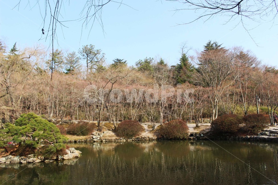 강,물,강물,유원지,돌,돌담,울타리,그늘,비침,자연,나들이,소풍,자연,풍경,nature,landscape,water,land,땅,outdoors,옥외