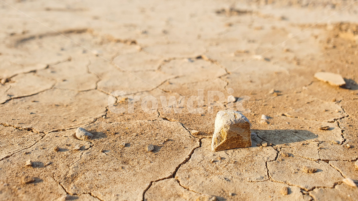 ground,흙,soil,돌,가뭄,갈라짐,crack