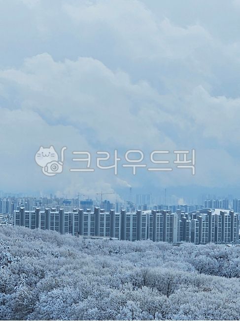 Winter,snow,snowscape,snow-covered trees,winter scenery,city,apartment,high-rise building,cold air,ice,healing,quiet,winter morning,nature and city,city life,snowflakes,winter walk,cold wave,winter emotion,cold,peace,blue sky,pure wh