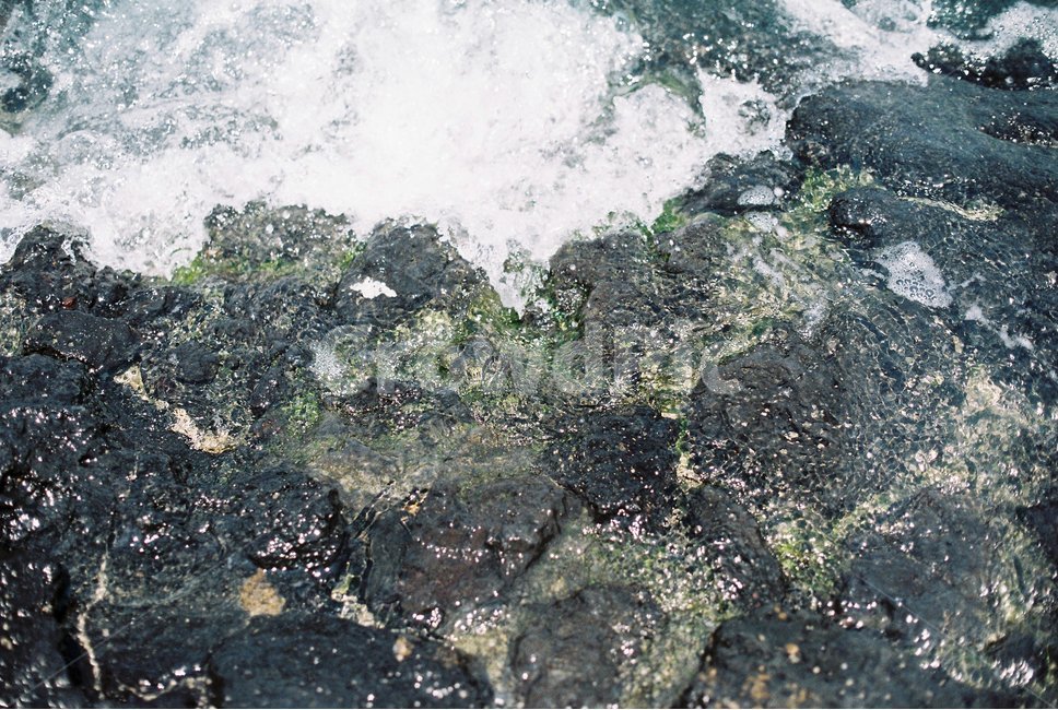 제주,제주도,바다,해수욕장,현무암,여름,필름,필름사진,jeju,sea,summer,film