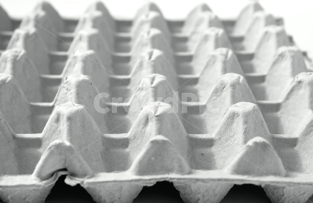 계란판,계란상자,blank,eggbox,eggboxpanel,clean,empty,gray,grey,nobody,object,panel,paper,흰배경,비어있는,깨끗한,상자,회색,물건,사물,종이