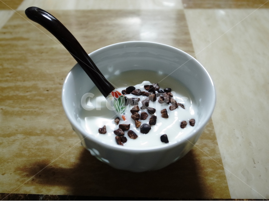 요거트,카카오닙스,디저트,yogurt,cacaonips,음식,food,dessert,음식,식재료,요리,food,cook,meal,dishes,food reserves,디저트,간식,후식,dessert,snack