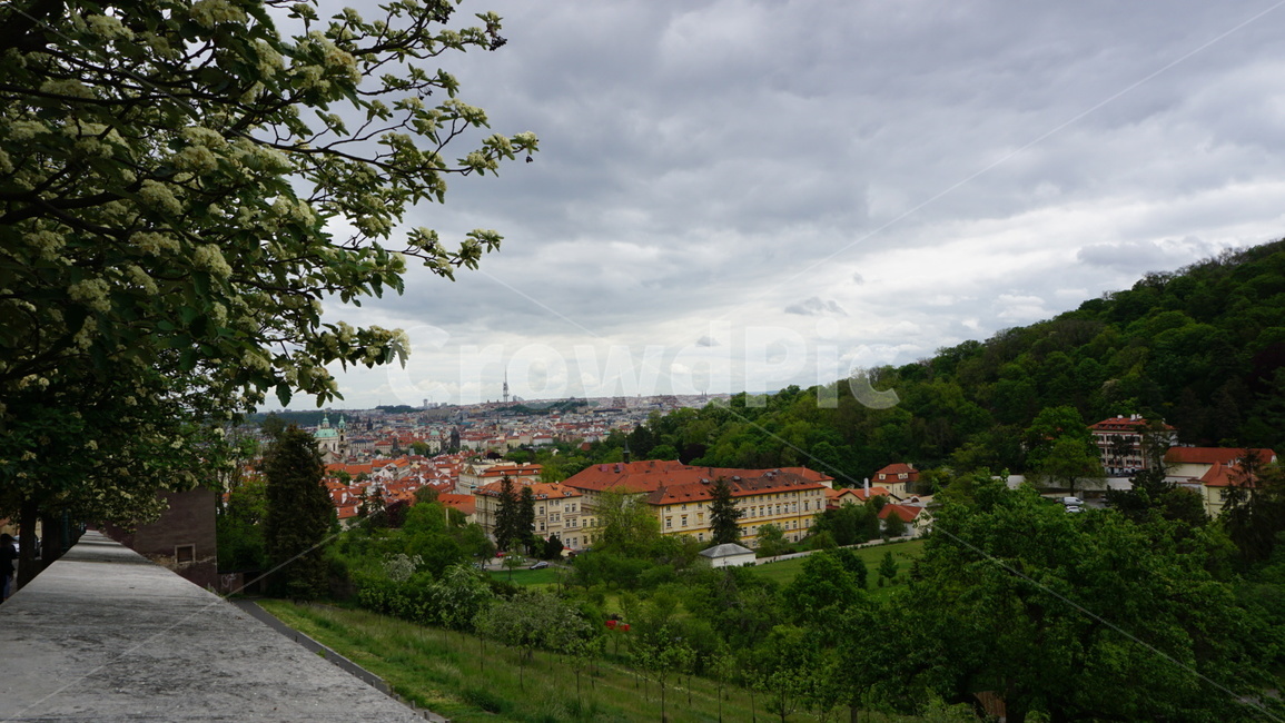 프라하,거리,street,tree,roof,해외,외국,세계,foreign,oversea,world